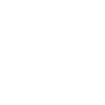 Résistant aux
chocs